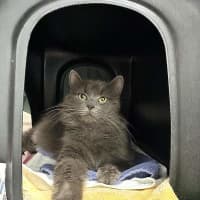 Photo of Penelope