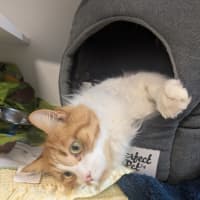 Photo of Rebel 