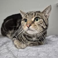 Photo of Ollie 