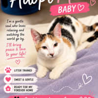 Photo of Missy & Baby 
