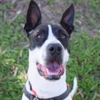Photo of Beanie