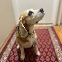 Photo of Lilly