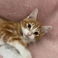 Photo of Jasper