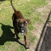 Photo of Jax