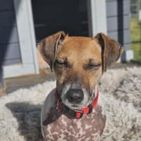 Photo of Bubba