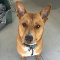 Photo of Ceero