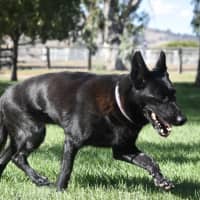 Photo of Storm
