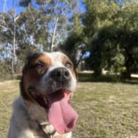 Photo of Billybob