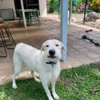 Photo of Betty 