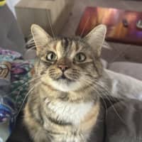 Photo of Samara Mae 