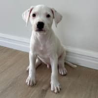 Photo of Klaus