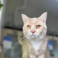 Photo of 🥞 Rupert 5644 🥞