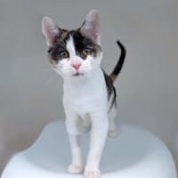 Photo of Milly