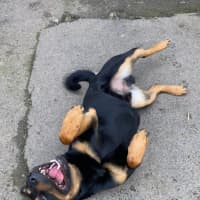 Photo of Denny