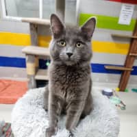 Photo of Smooky