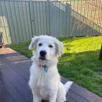 Photo of Mabel
