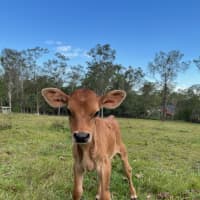 Photo of Austin And Elvis