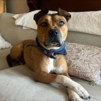 Photo of Chloe Haliwell