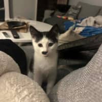 Photo of Tuna