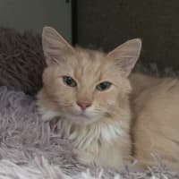 Photo of Teddy