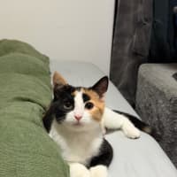 Photo of Poppy