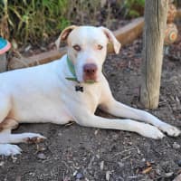 Photo of Mackalicious