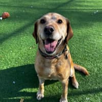 Photo of Dora