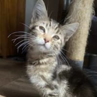 Photo of Winslow