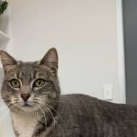Photo of Millie