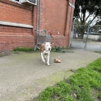 Photo of Chloe