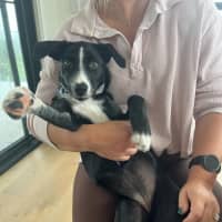 Photo of Freya