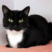 Photo of Cleo Sta012855