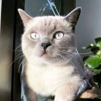 Photo of Ollie & Kobe