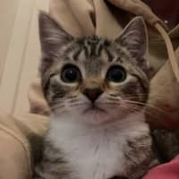Photo of Amylou