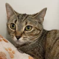 Photo of Sienna