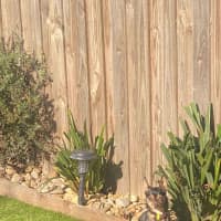 Photo of Beanie Baby