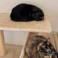 Photo of Ashlie & Lisa