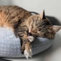 Photo of Jupiter 🩷