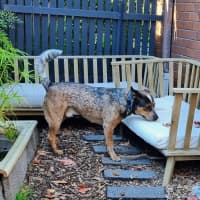 Photo of Richie Rich