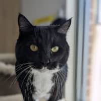 Photo of 🎈 Franklin 5629 🎈