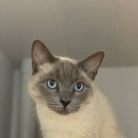 Photo of Precious