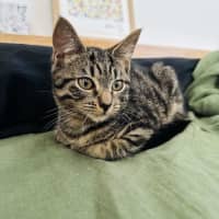 Photo of Beans   Located In Northcote