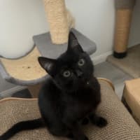 Photo of Freya