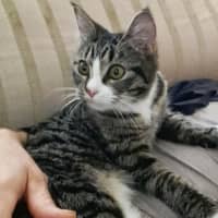 Photo of Tabitha 