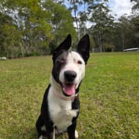 Photo of Annie