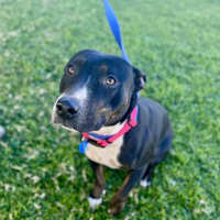 Photo of Jinx