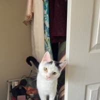 Photo of Lilly