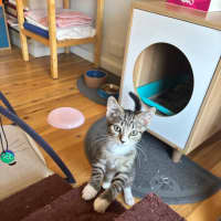 Photo of Floyd