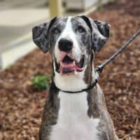 Photo of 🎭 Wednesday 6534 🎭