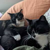 Photo of Jiji